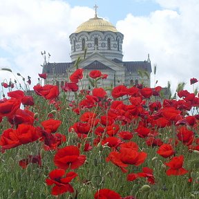 Фотография "Владимирский собор в Херсонесе, Севастополь."