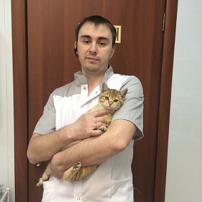 Фотография от Ветпомощь Даниленко Алексей