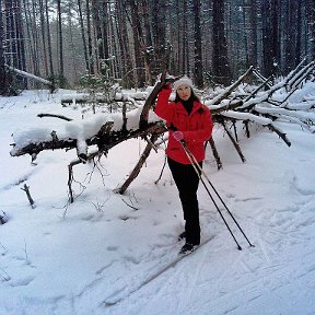 Фотография "Бурелом нам не преграда"