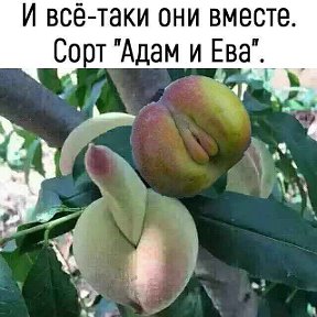 Фотография от я ххх мужик