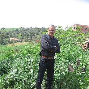 Фотография от mouloud mokrane berber