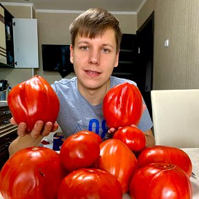 Фотография "Приветствую Вас, дорогие гости моей страницы!  
Вот уже 12 год мы с моей командой занимаемся продажей семян томатов и перцев. В коллекции насчитывается более 1100 сортов. Заказать семена можно на сайте tomatboris.ru"