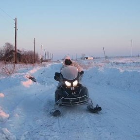 Фотография "ЗИМНЯЯ ПРОГУЛКА"