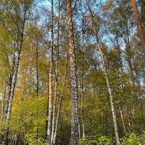 Фотография от Дмитрий Степанов