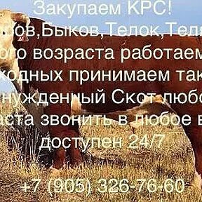 Фотография от Скупка КрС