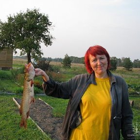 Фотография "Вот какие щуки! Подмосковье, д.Калитино, мой улов."