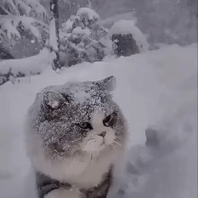 Фотография от Алла Минаева