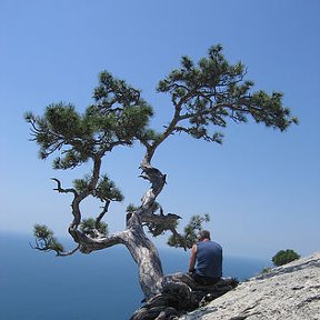 Фотография от Василий Елисеев