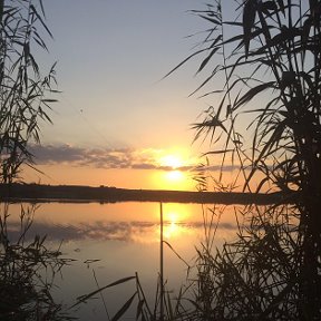 Фотография от Владимир Нам