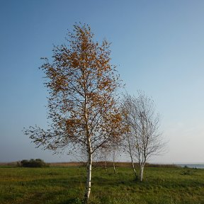 Фотография от Лилия Яковлева