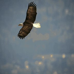 Фотография от Алексей Викторович Зеленский