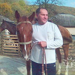 Фотография "лошади любят искренне"