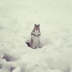 Фотография от Вадим Деникин