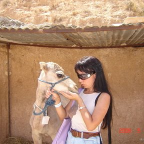 Фотография "Я с маленьким верблюженком в Сахаре ( Матмата)"