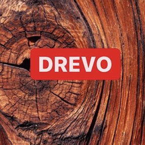 Фотография от DREVO LIVE