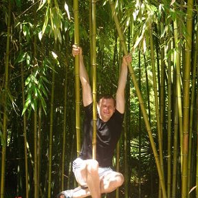 Фотография "Вешу на бамбуке."