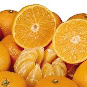 Фотография от мандарин апельсинов