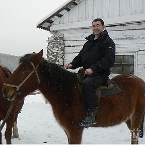 Фотография "Я и конь, НГ2010"