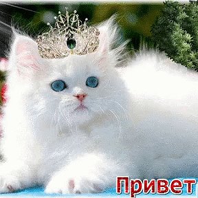 Фотография от Марина Марина