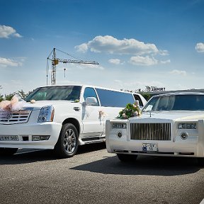 Фотография от limo csv