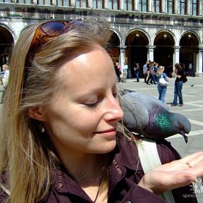 Фотография "Легендарные венецианские голуби"