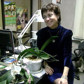Фотография "На работе в орхидеях... "