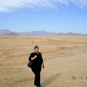 Фотография "Синайский полуостров, пустыня,но совсем не жарко..."