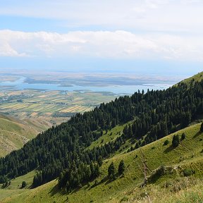 Фотография от Дежавю по родине