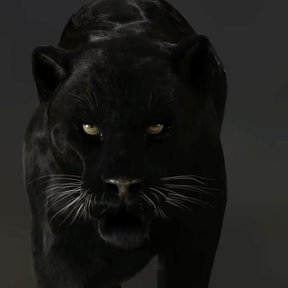 Фотография от Black Panther