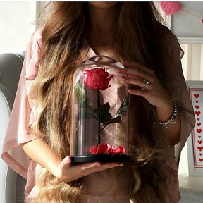 Фотография "🌹NOTTA&BELLE - Долговечная живая роза в стеклянной колбе, которая будет дарить вам радость на протяжении 5 лет!🌹
🌐www.nottabellekms.ru"