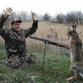 Фотография "Охота на заяц"