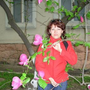 Фотография "Магнолии, Ужгород. май 2006"