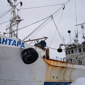 Фотография от Геннадий Синельников