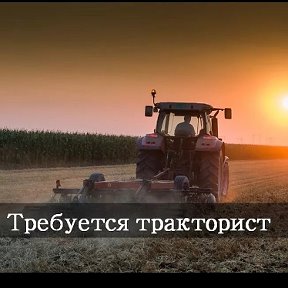 Фотография "Требуется тракторист с опытом работы! Все вопросы по тел. 89892899929 #вакансии#обьявления#купипродайотрадная#"