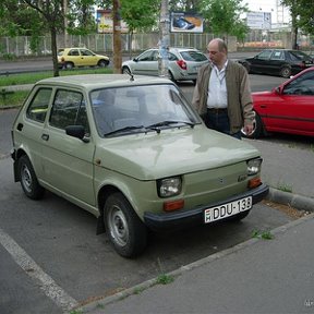 Фотография "Вот думаю, домой занести или пусть стоит"