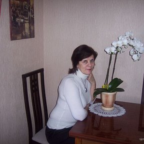 Фотография "Орхидея - символ начала весны"