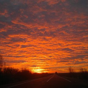 Фотография от роман ничипорчук