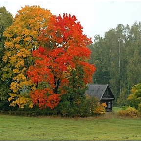 Фотография от Сергей Решато