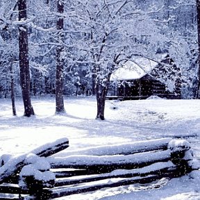 Фотография от Светлера Агафьева