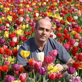 Фотография "Sergey Abrikosov,2003, Portland Oregon, Tulip Festival"