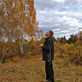 Фотография "С ветки падающий лист. День осенний золотист...Он по воздуху кружится и танцует как артист...."