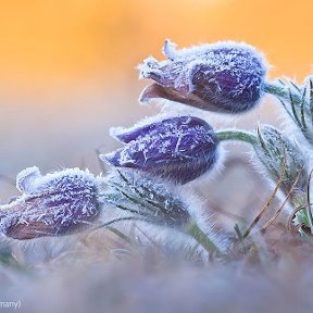 Фотография от Ирина Шабурова