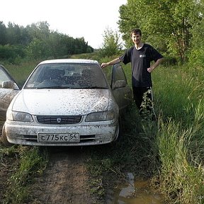 Фотография "В лес по ягоды. "