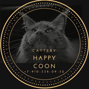 Фотография от Питомник Мейнкун Сайт happycoon32