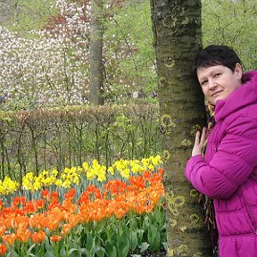 Фотография "Keukenhof 2011"