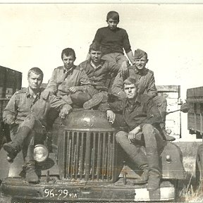 Фотография "Уборка урожая Алтайский край с.Тогул сентябрь 1975год, Я с верху"