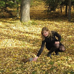 Фотография "г. Томск,осень 2008 года. Такой сказочной осени у нас в Москве я не видела очень давно"