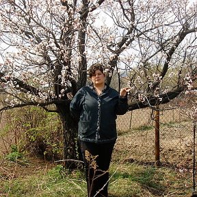 Фотография от Наталья Циргибель