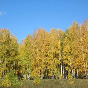 Фотография от виктор каблуков