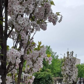 Фотография от Елена Печерских(белозерцева)